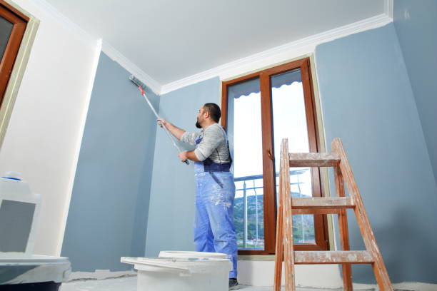 Best Black Mold Removal  in Green Village, NJ