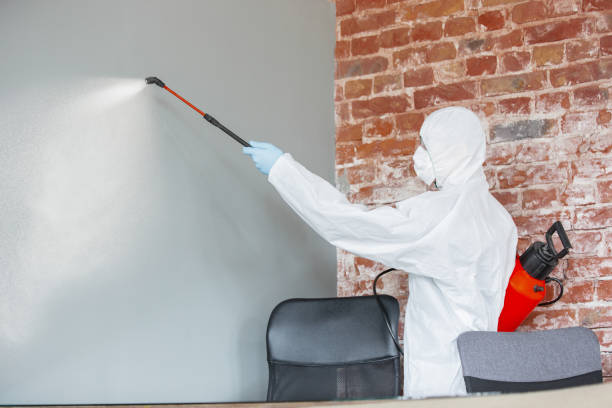 Mold Remediation for Vacation Homes