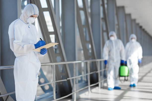 Best Environmental Consulting for Mold Prevention  in Green Village, NJ