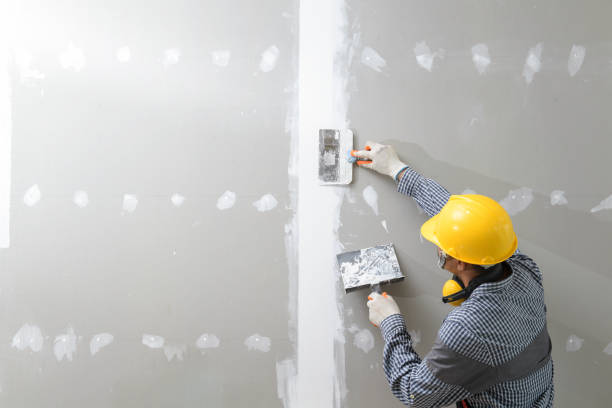 Best Mold Remediation for Vacation Homes  in Green Village, NJ