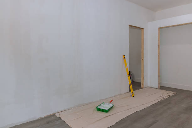 Best Basement Mold Removal  in Green Village, NJ