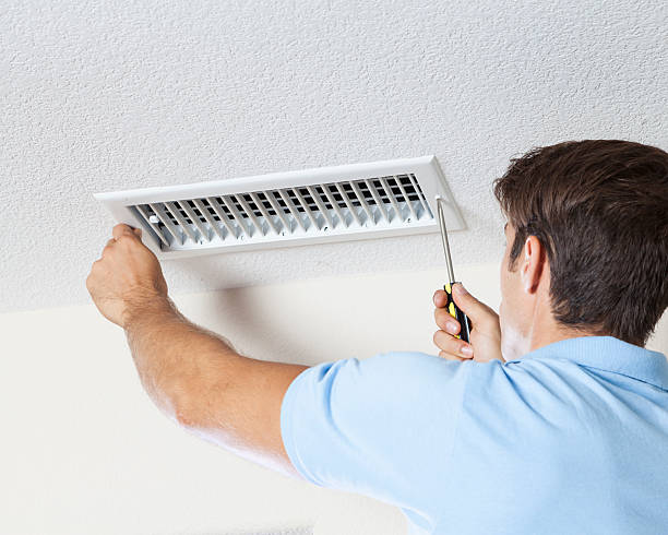 Best Attic Mold Removal  in Green Village, NJ