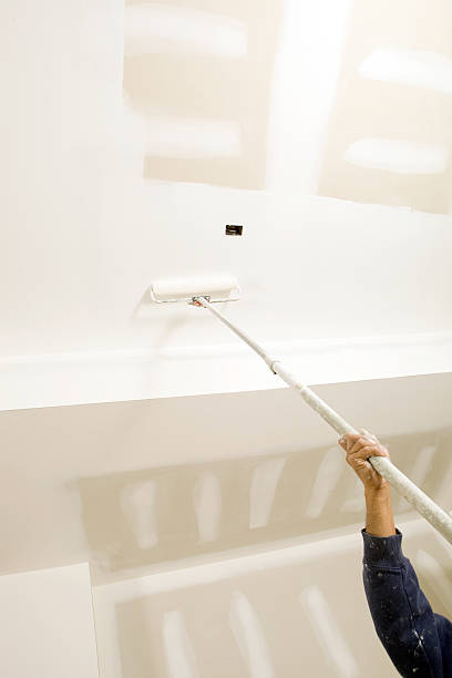 Mold Odor Removal Services in Green Village, NJ