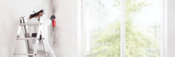 Best Residential Mold Inspection & Testing  in Green Village, NJ