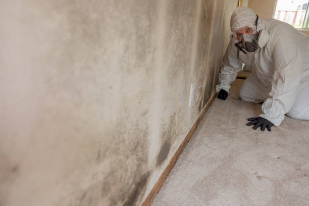 Best HVAC Mold Inspection and Cleaning  in Green Village, NJ